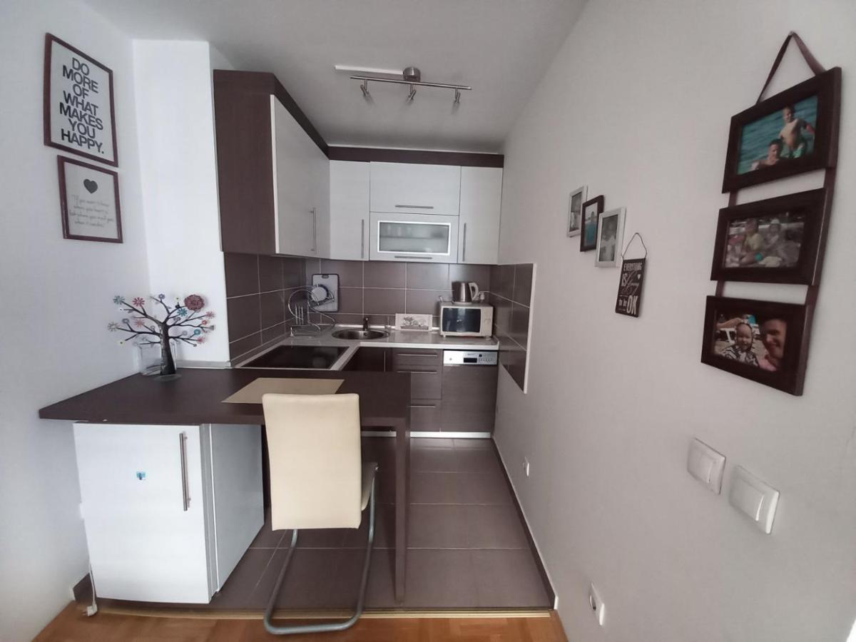Apartment Pivasevic *